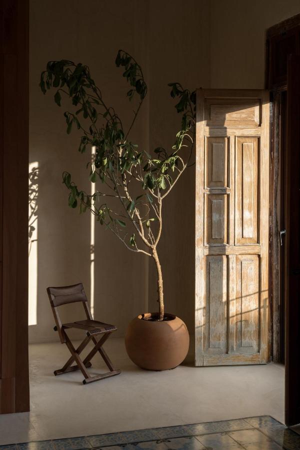 Narrativ Lofts - Numen - Stylish Hideaway Διαμέρισμα Καμπέτσε Εξωτερικό φωτογραφία